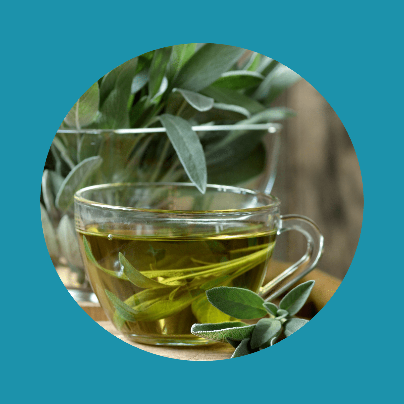 Thé aux feuilles de sauge ou gargarisme dans une tasse en verre avec des feuilles d'herbes à proximité sur du bois rustique, gros plan, espace de copie, boissons à base de plantes et concept de naturopathie